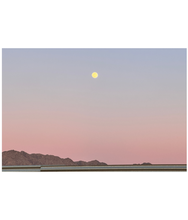 QUIET ABOVE THE FENCE