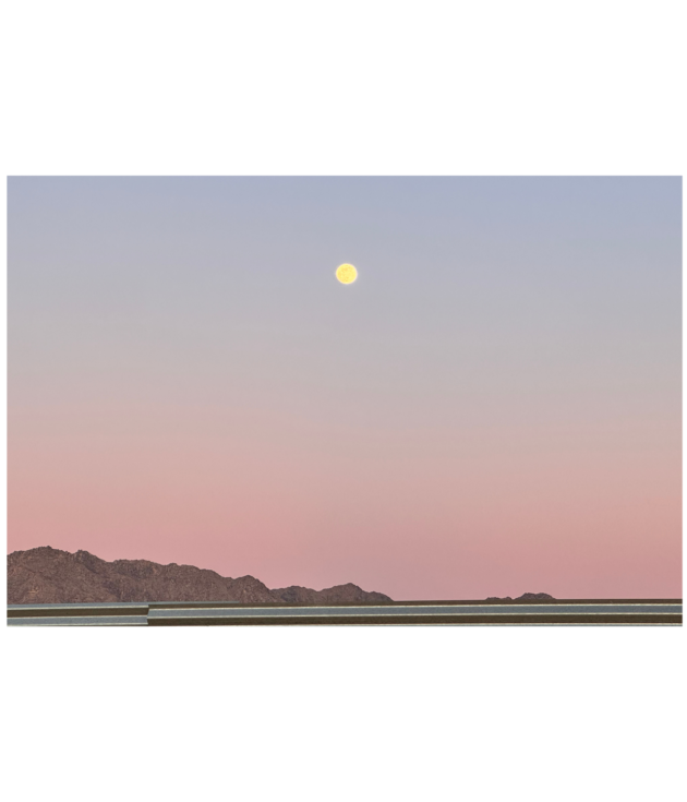 QUIET ABOVE THE FENCE